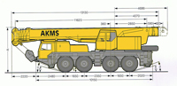Liebherr 55 t